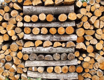 Burning Rotten Wood in Wood Stove 